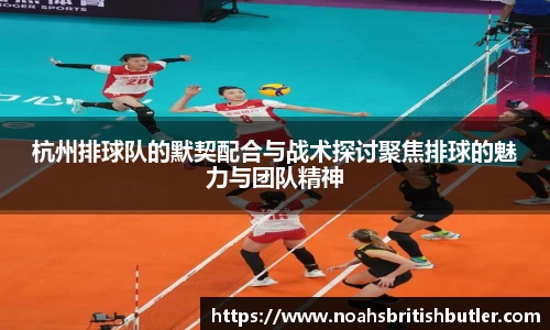竞技宝jjb官方网站